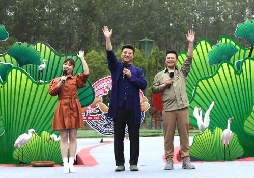 婚纱门市爆料视频大全最新,潮流趋势与选购攻略大盘点